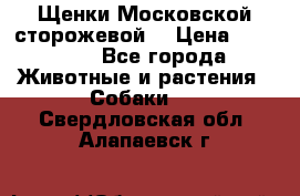 Щенки Московской сторожевой  › Цена ­ 25 000 - Все города Животные и растения » Собаки   . Свердловская обл.,Алапаевск г.